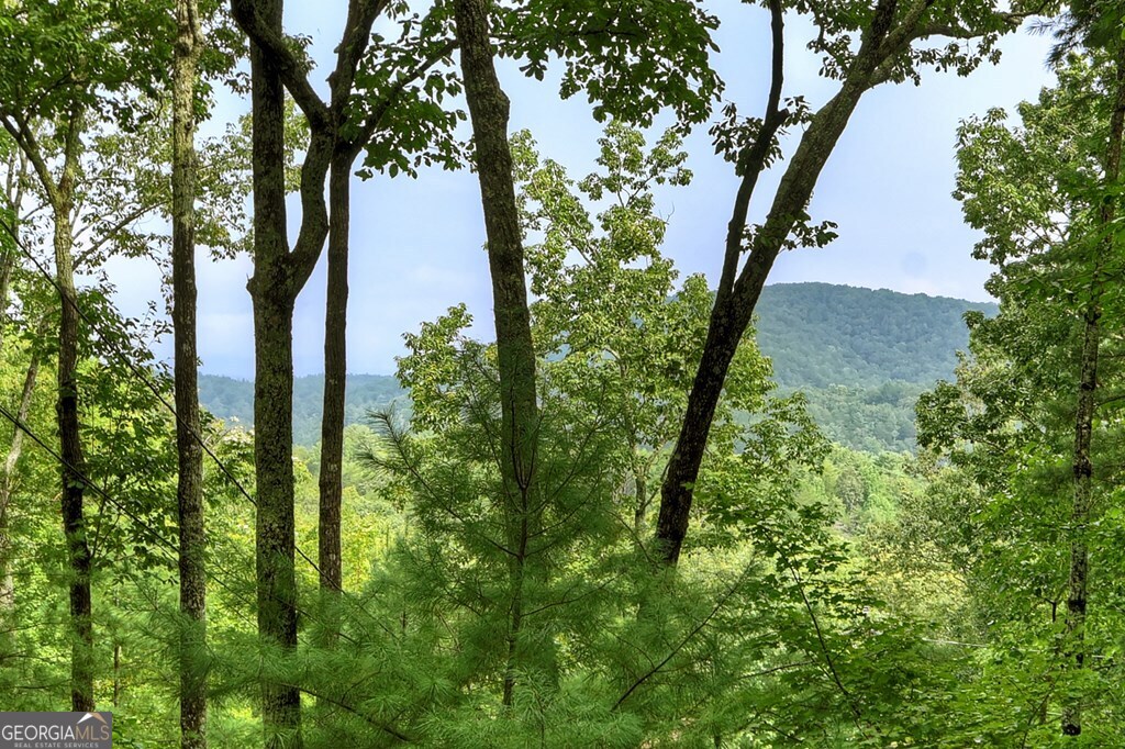 270 Walnut Mountain Road