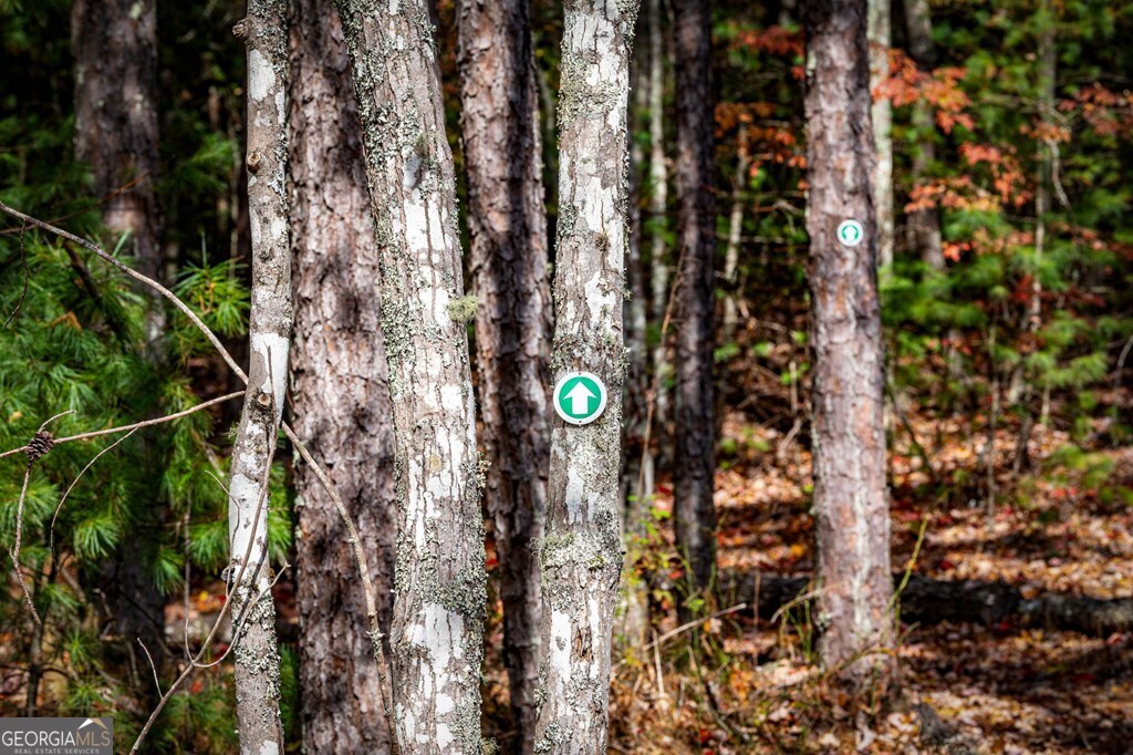 162 Fairy Cross Lane