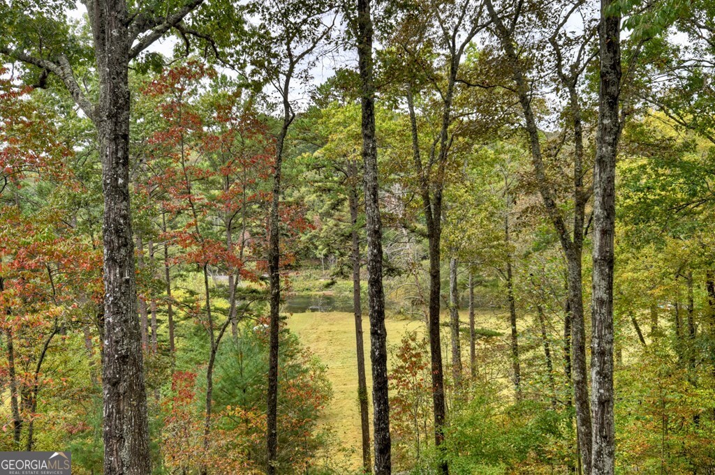 28 Fish Camp Way, Mineral Bluff