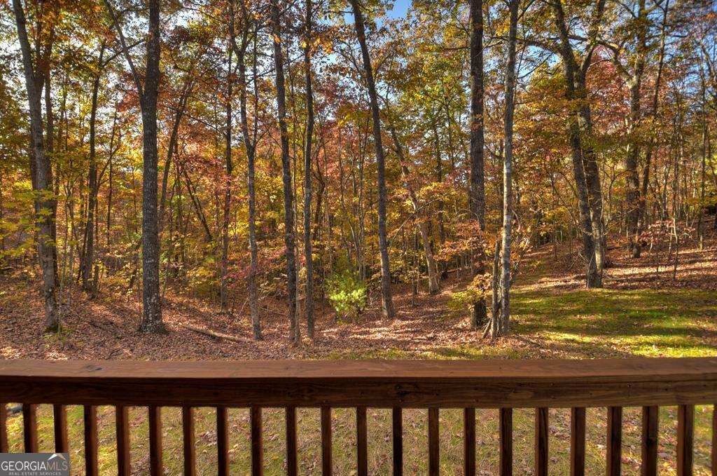 4011 Murphy Hwy, Mineral Bluff