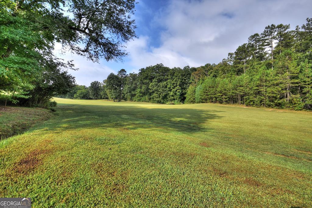 0 Murphy Hwy(Spur 60), Mineral Bluff