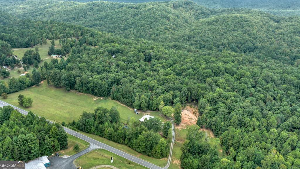 0 Murphy Hwy(Spur 60), Mineral Bluff