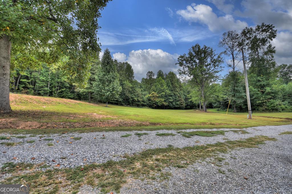 0 Murphy Hwy(Spur 60), Mineral Bluff