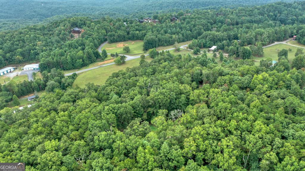 0 Murphy Hwy(Spur 60), Mineral Bluff