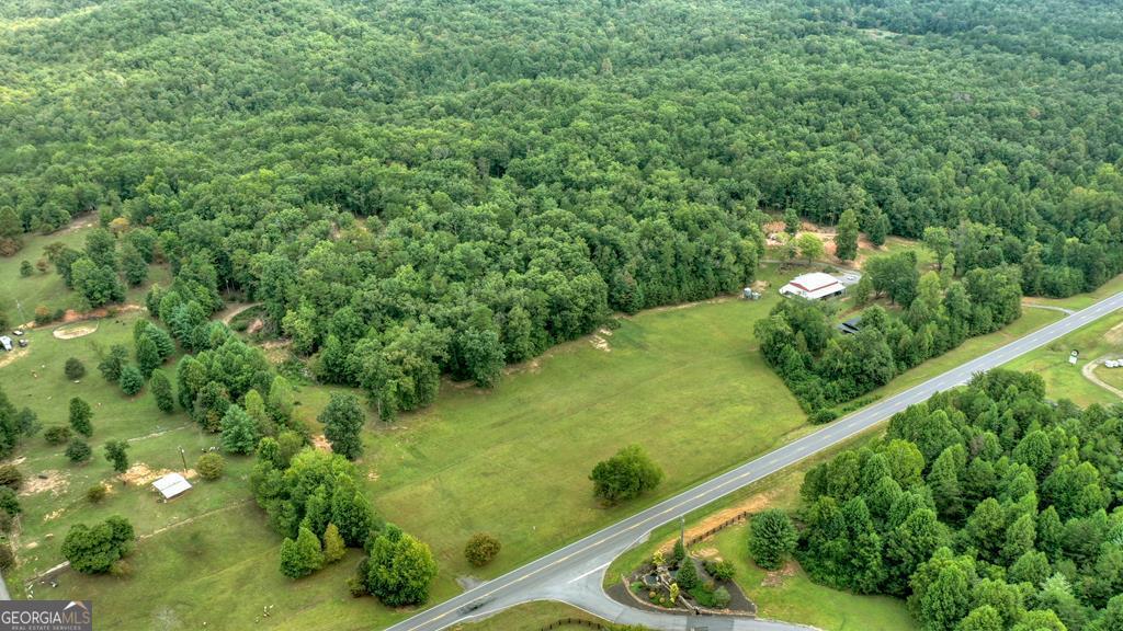 0 Murphy Hwy(Spur 60), Mineral Bluff