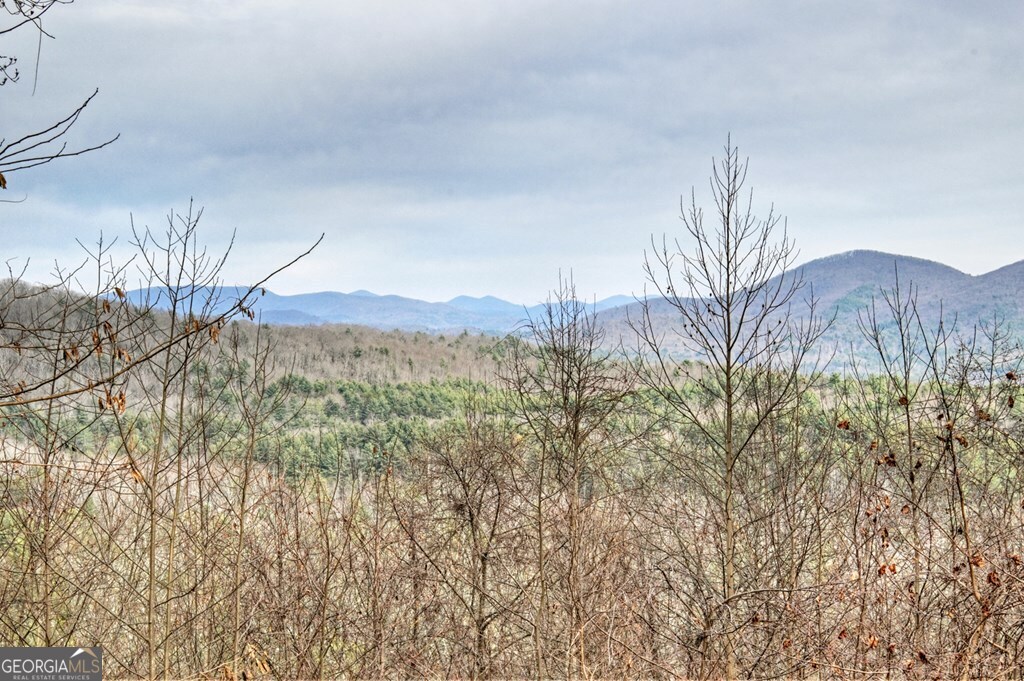 260 Observation Lane