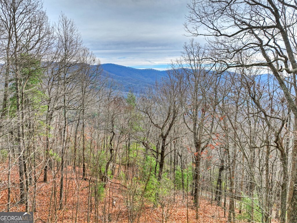 260 Observation Lane