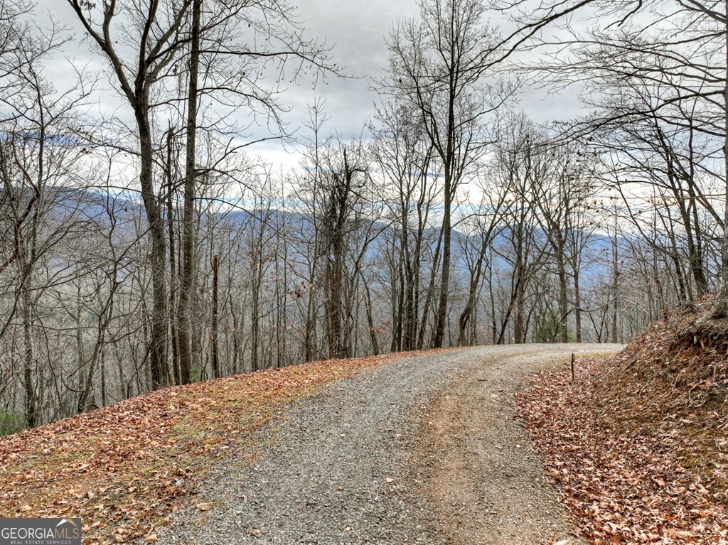 260 Observation Lane