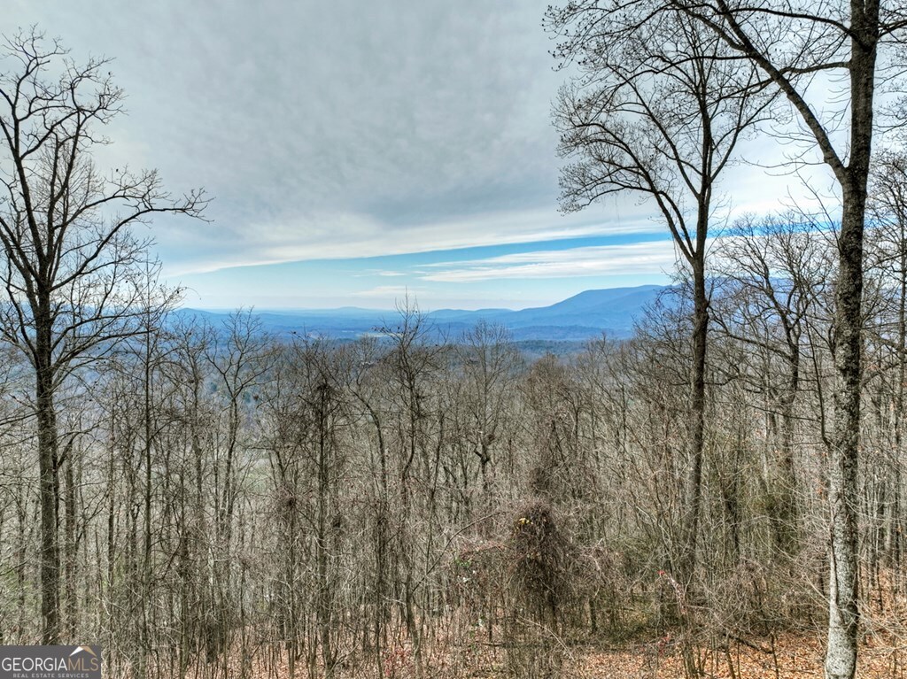 260 Observation Lane