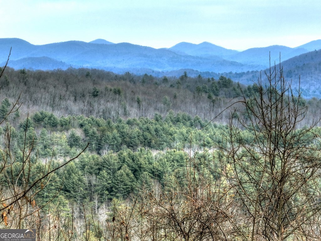 260 Observation Lane