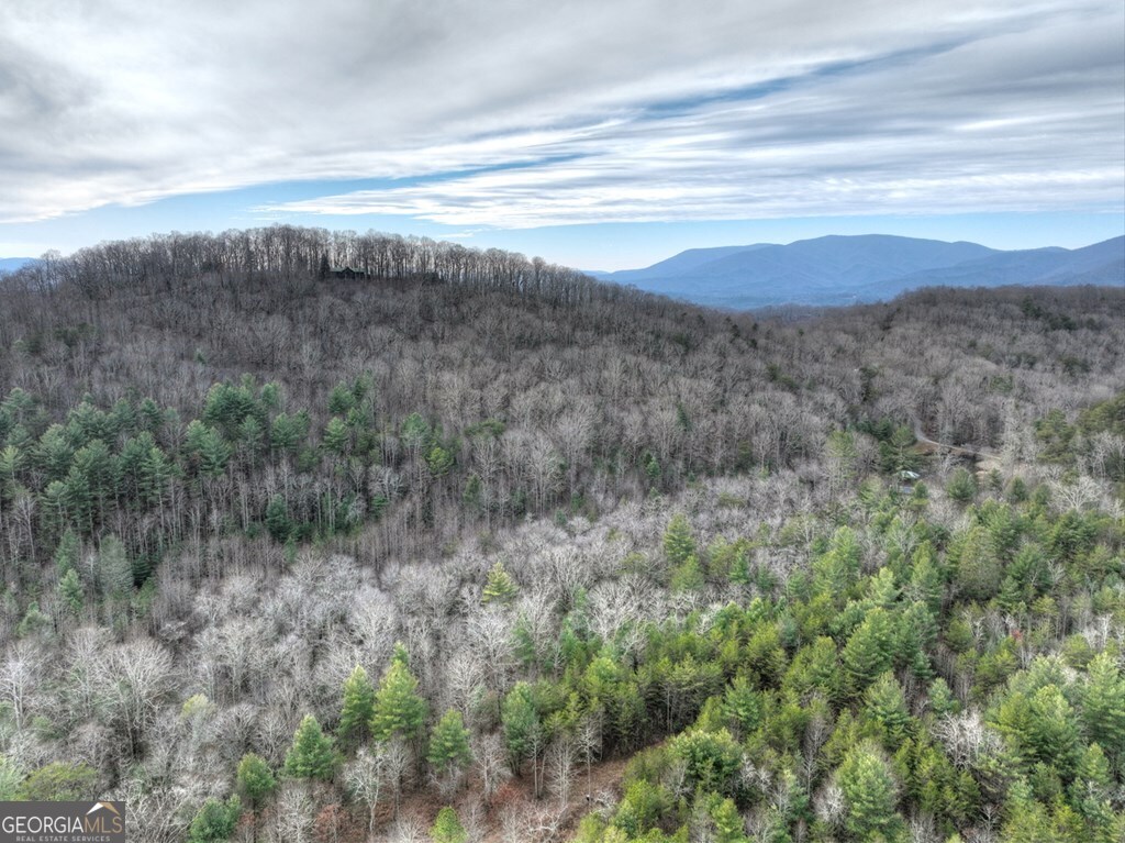 260 Observation Lane