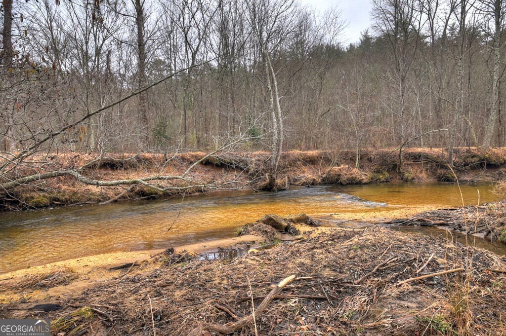 1175 Lickskillet Circle