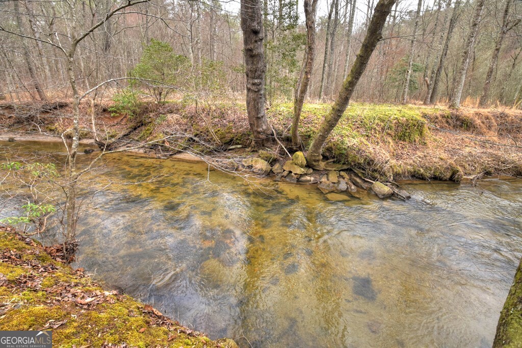 1175 Lickskillet Circle