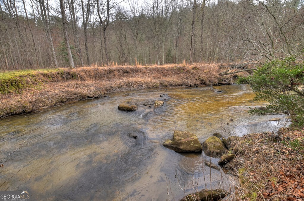 1175 Lickskillet Circle