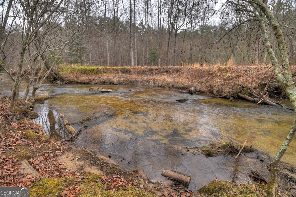 1175 Lickskillet Circle