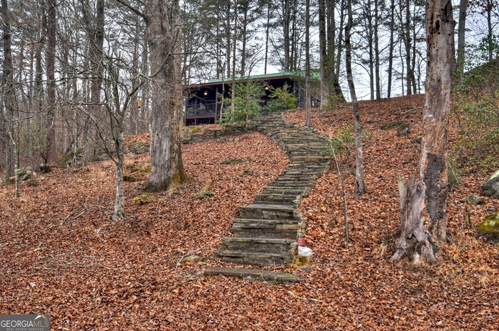 1175 Lickskillet Circle