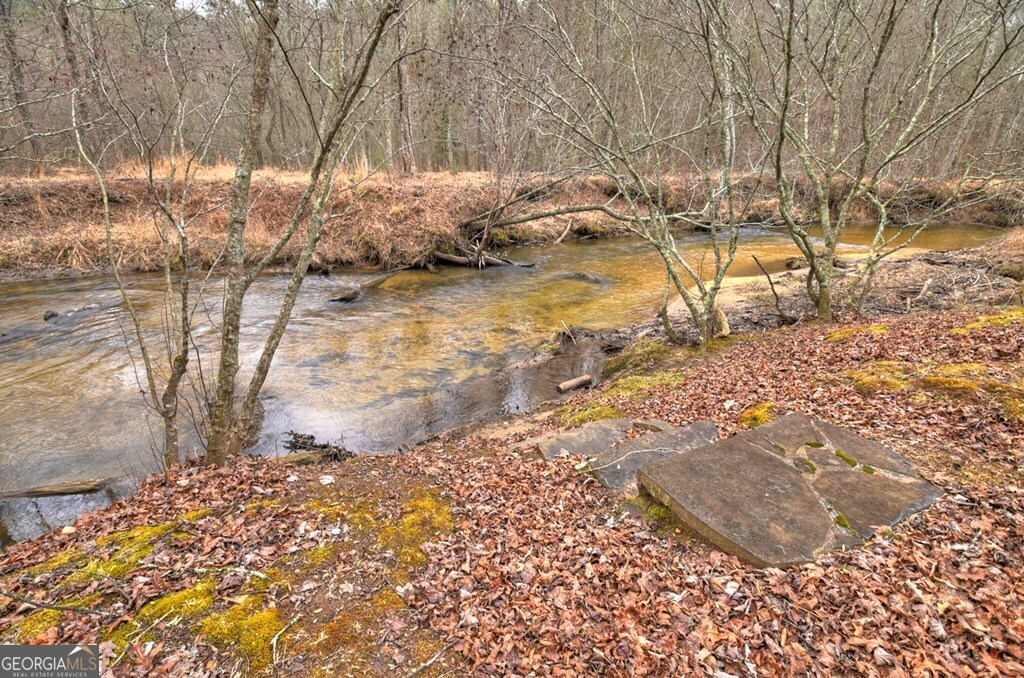 1175 Lickskillet Circle