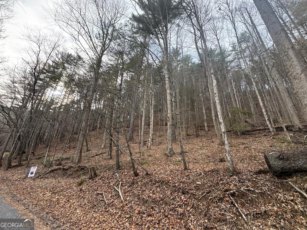 14092 Big Creek Road