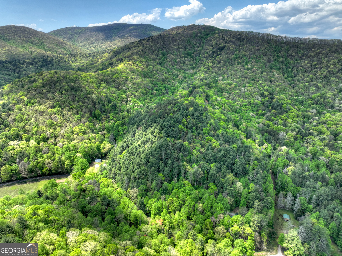 14092 Big Creek Road