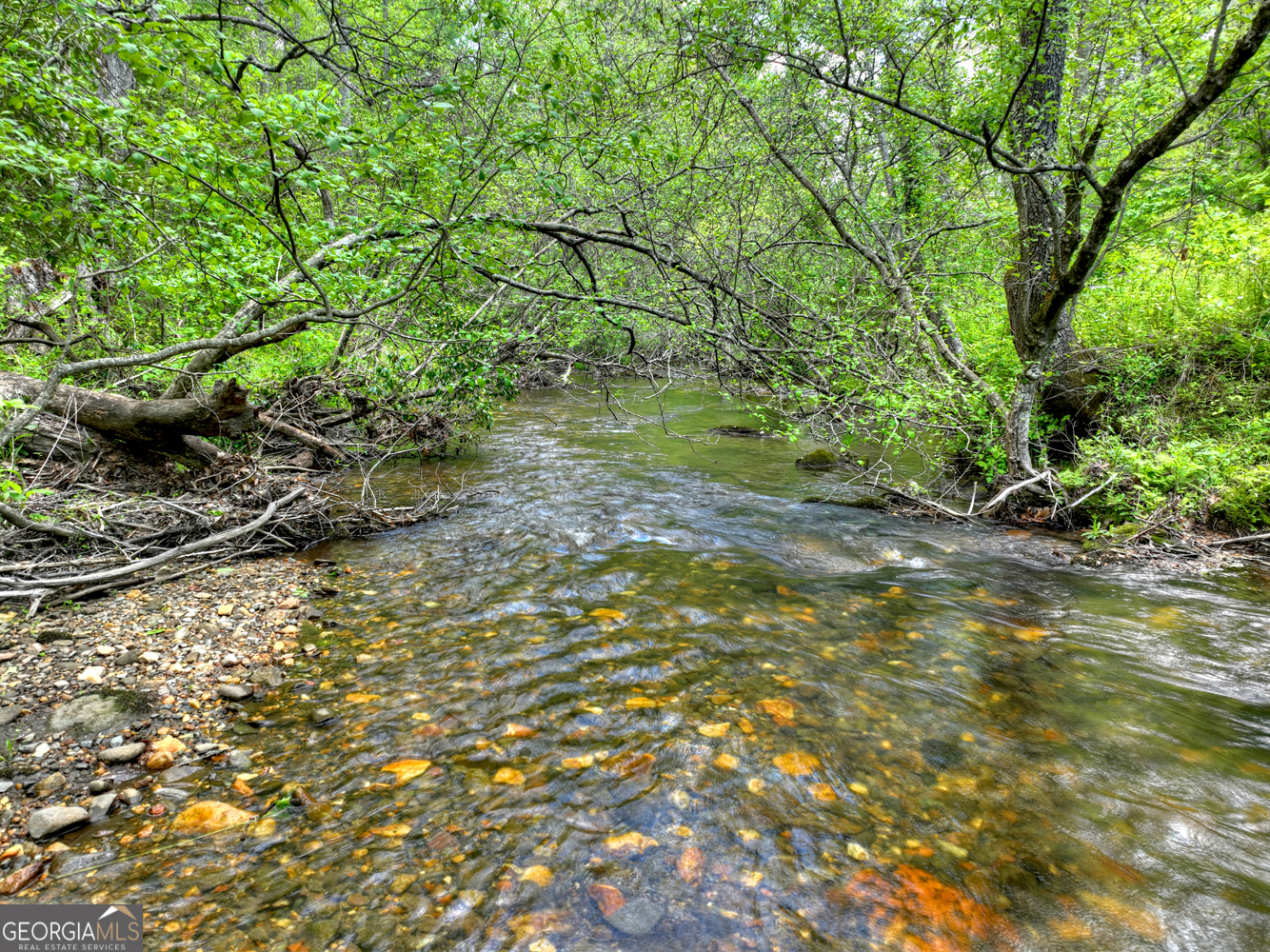 14092 Big Creek Road