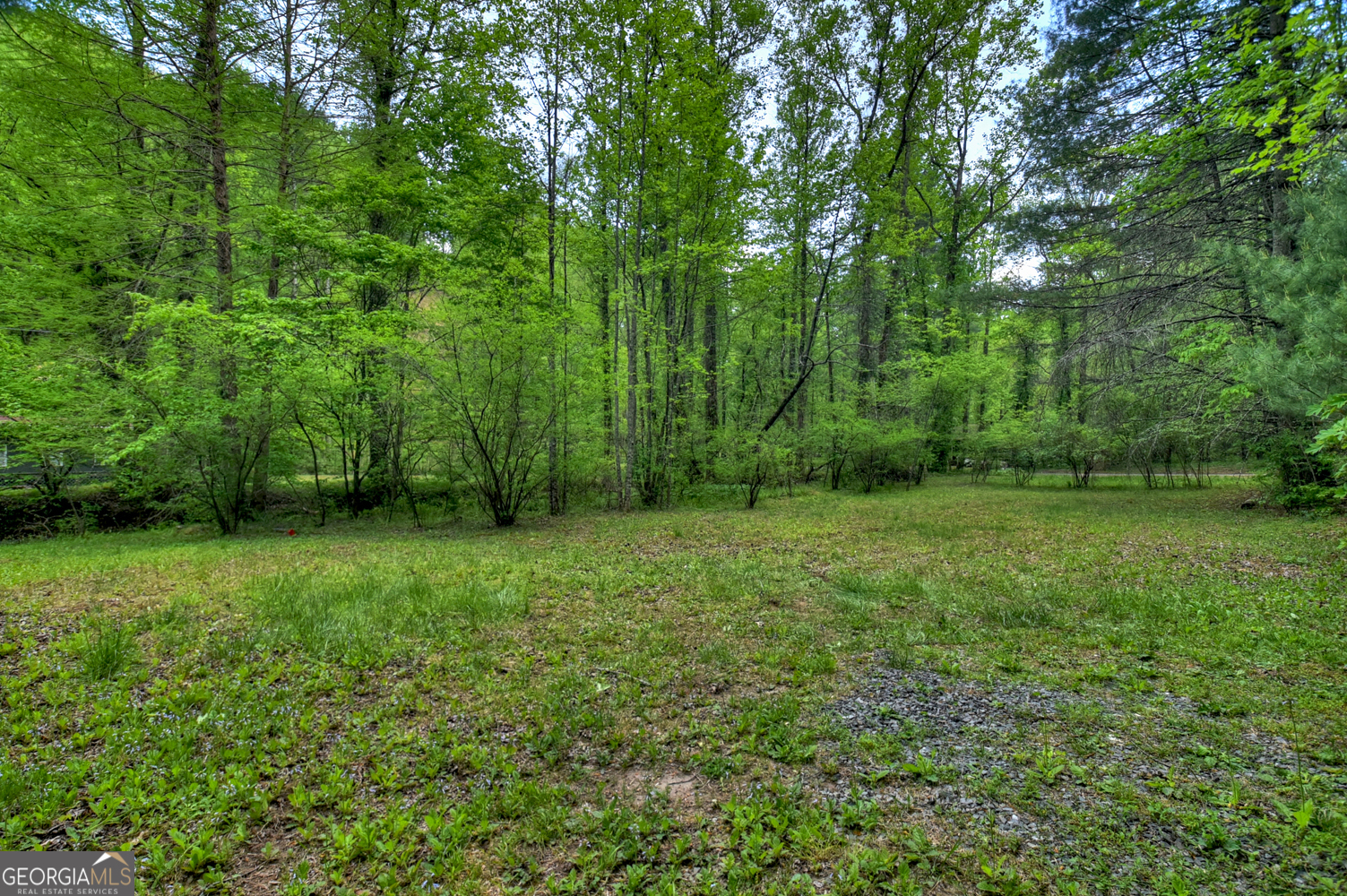 14092 Big Creek Road