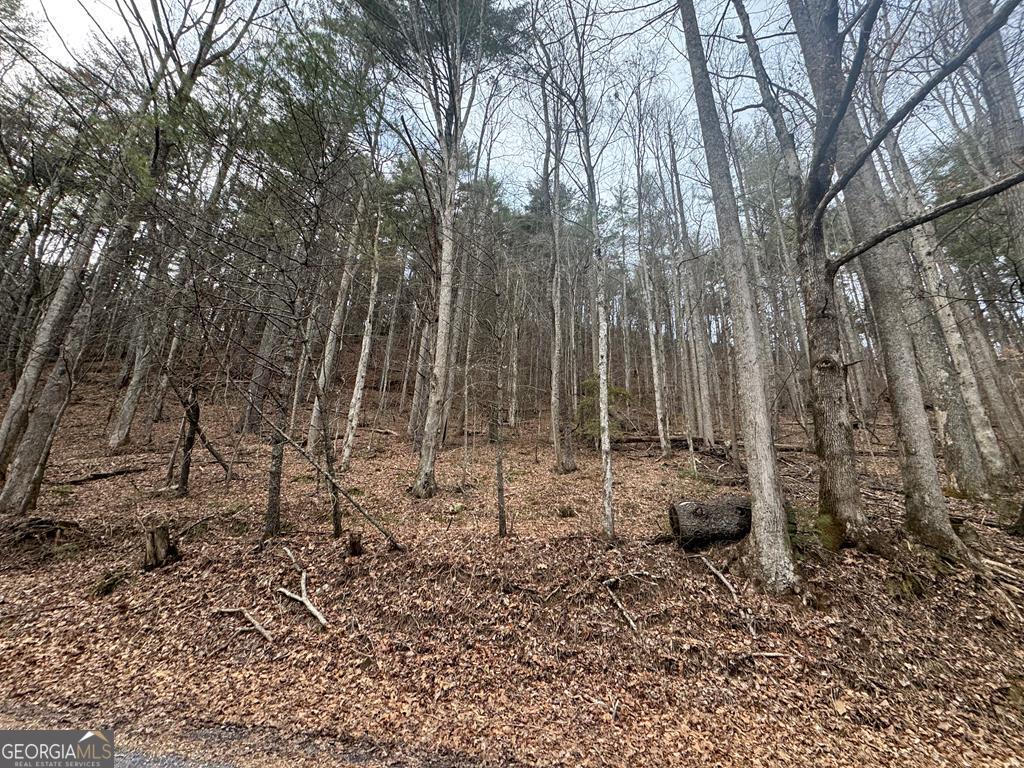 14092 Big Creek Road