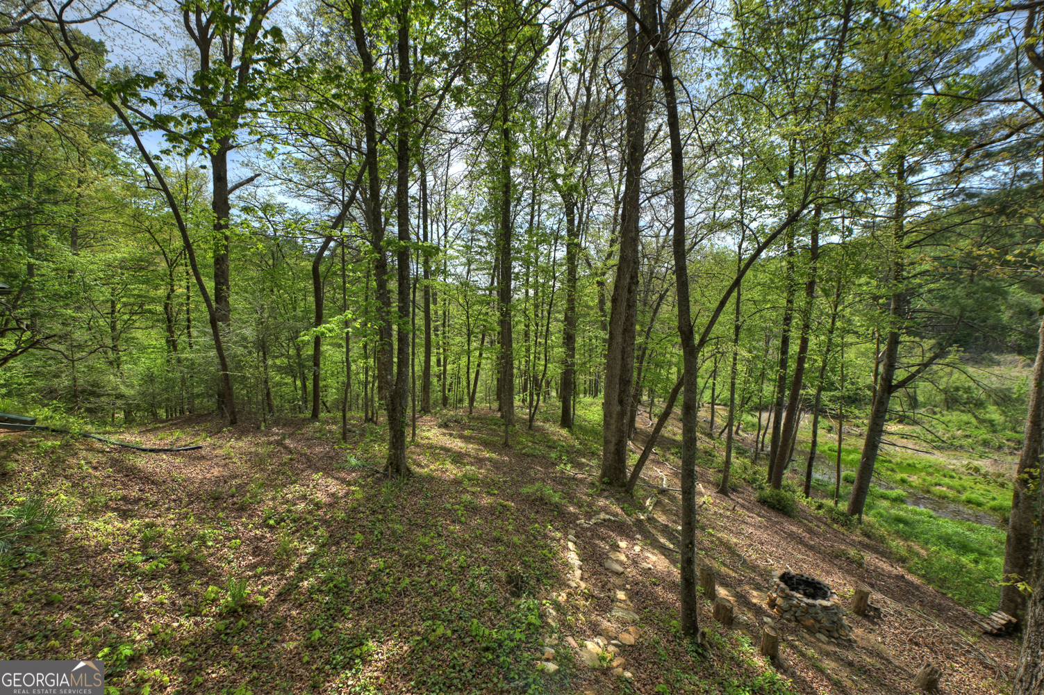 4081 Whitepath Road