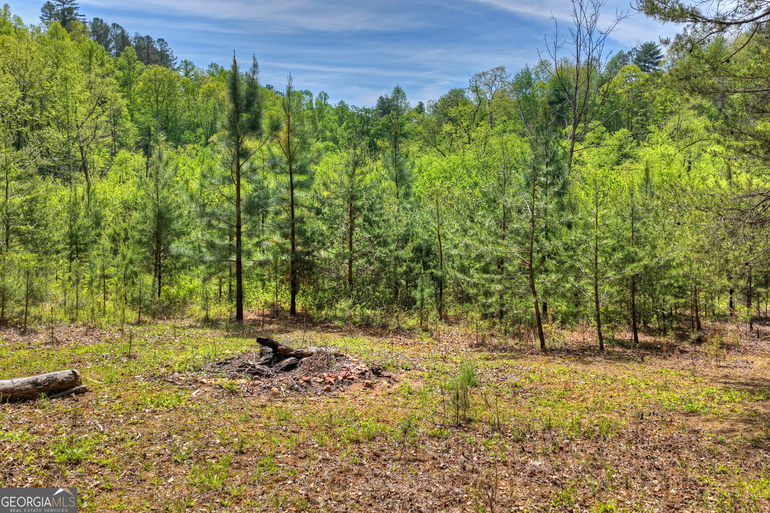 4081 Whitepath Road