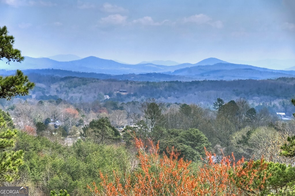 222 Mountain Hideaway Lane