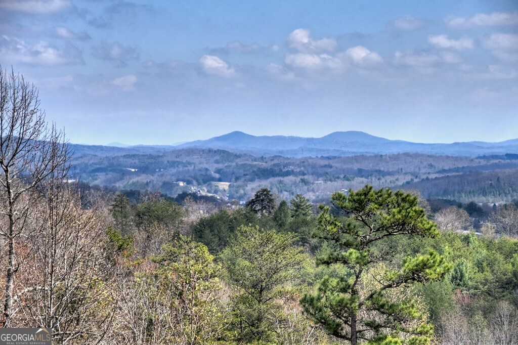 222 Mountain Hideaway Lane