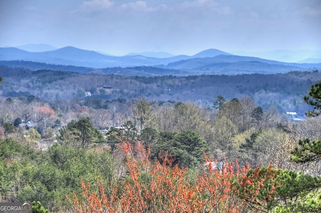 222 Mountain Hideaway Lane