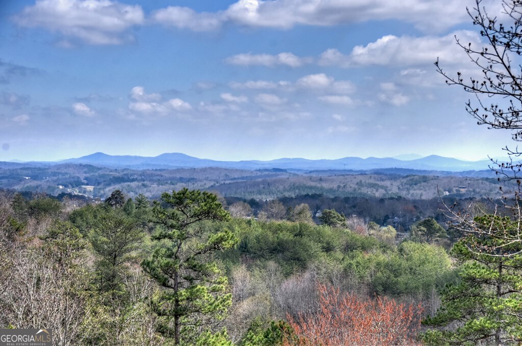 222 Mountain Hideaway Lane