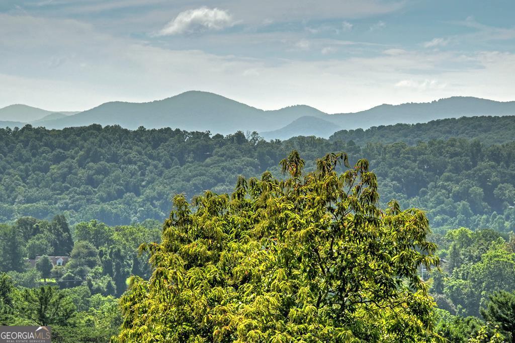 222 Mountain Hideaway Lane