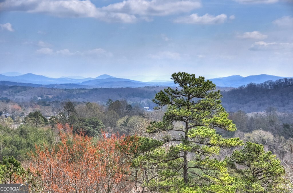 222 Mountain Hideaway Lane