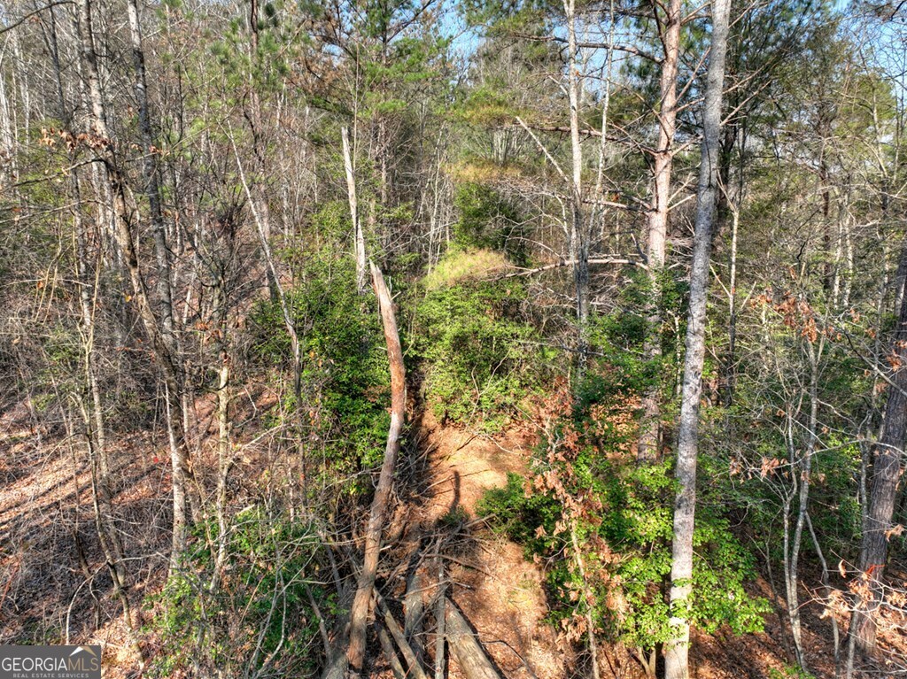 LOT 233 Ridge Pointe Way