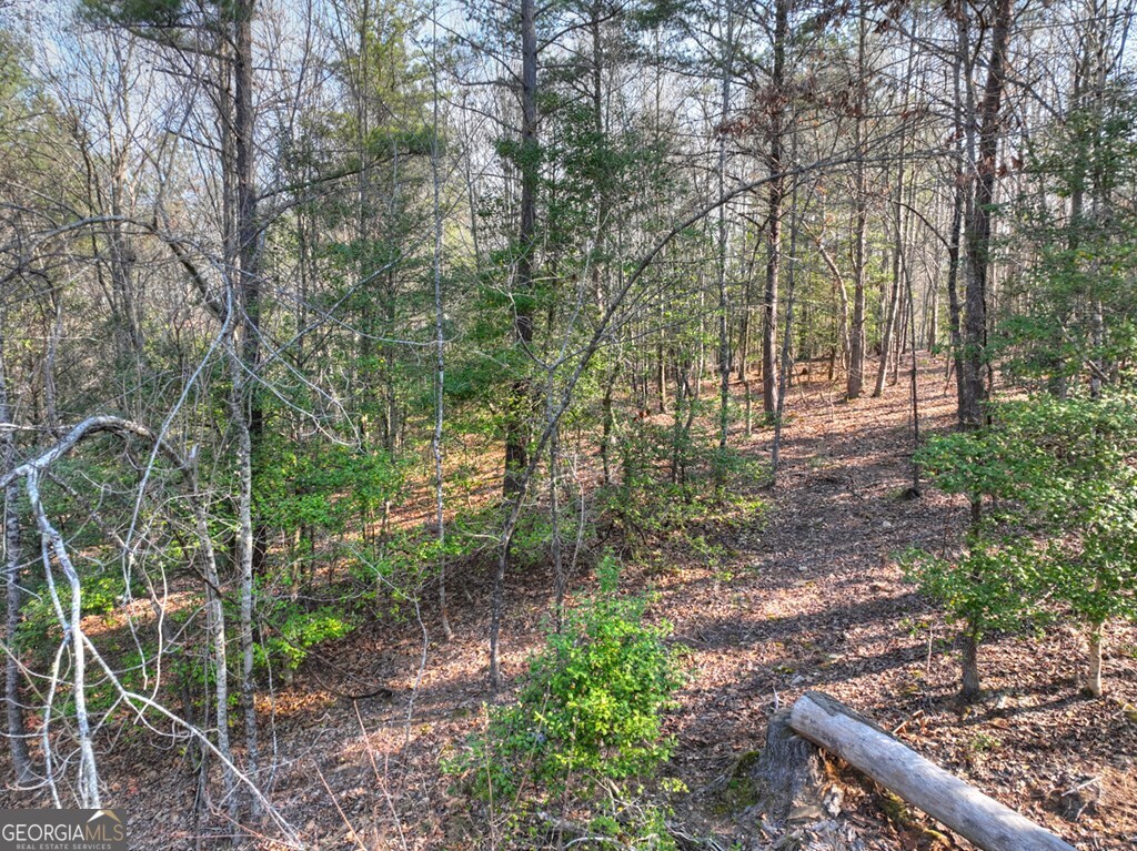 LOT 233 Ridge Pointe Way