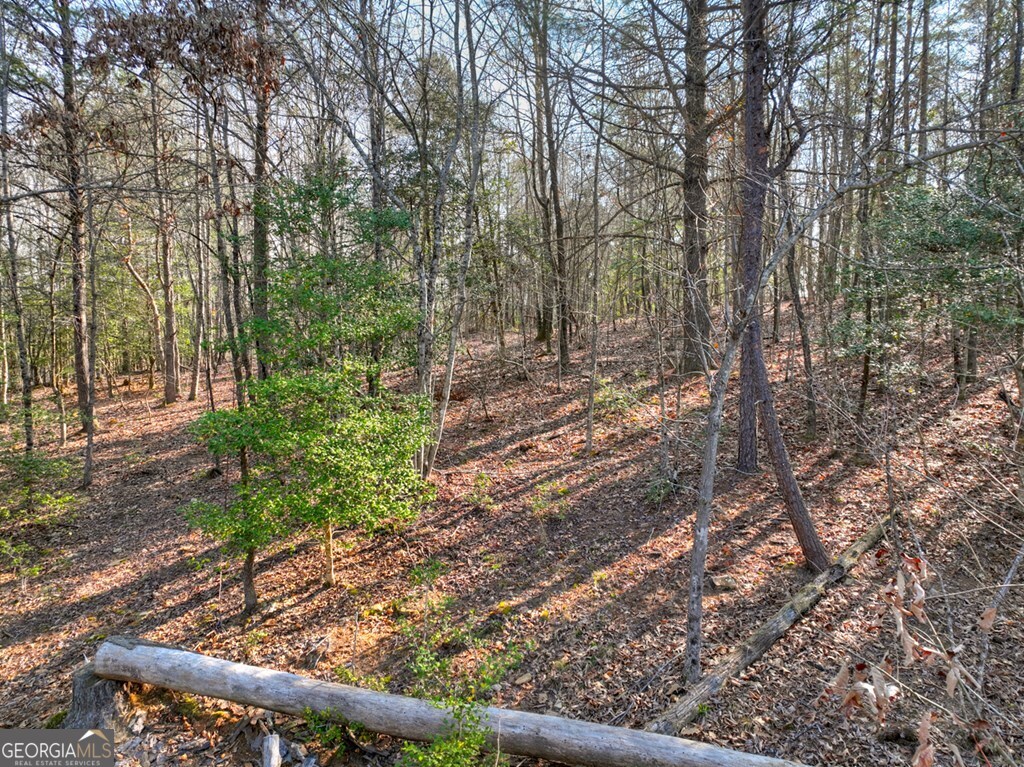 LOT 233 Ridge Pointe Way