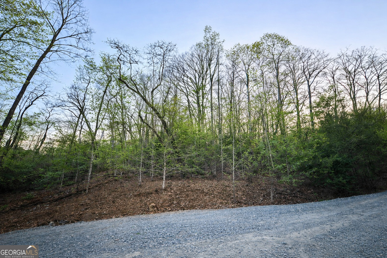 LOT 5 Riverbend Manor