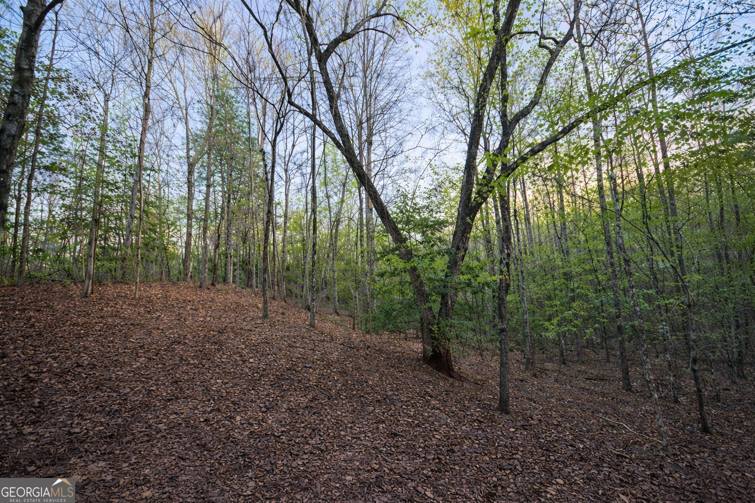 LOT 5 Riverbend Manor