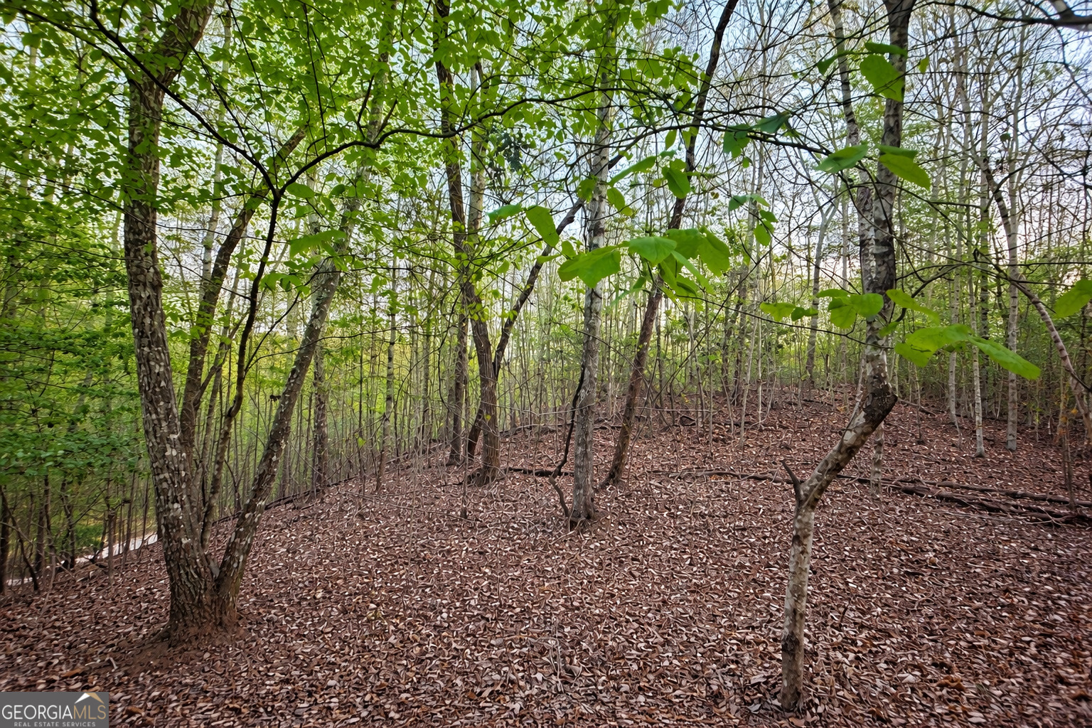 LOT 5 Riverbend Manor