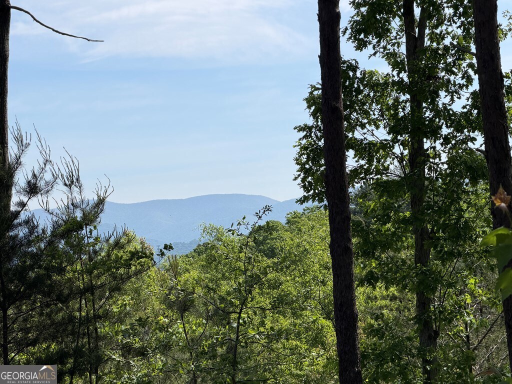 LOT 31 Summit View Lane