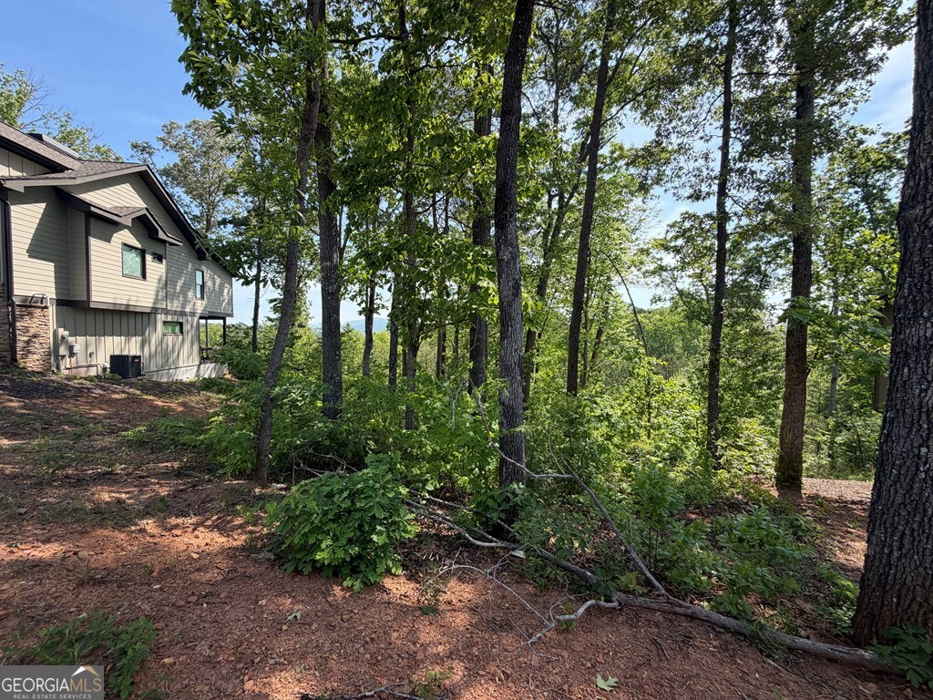 LOT 31 Summit View Lane