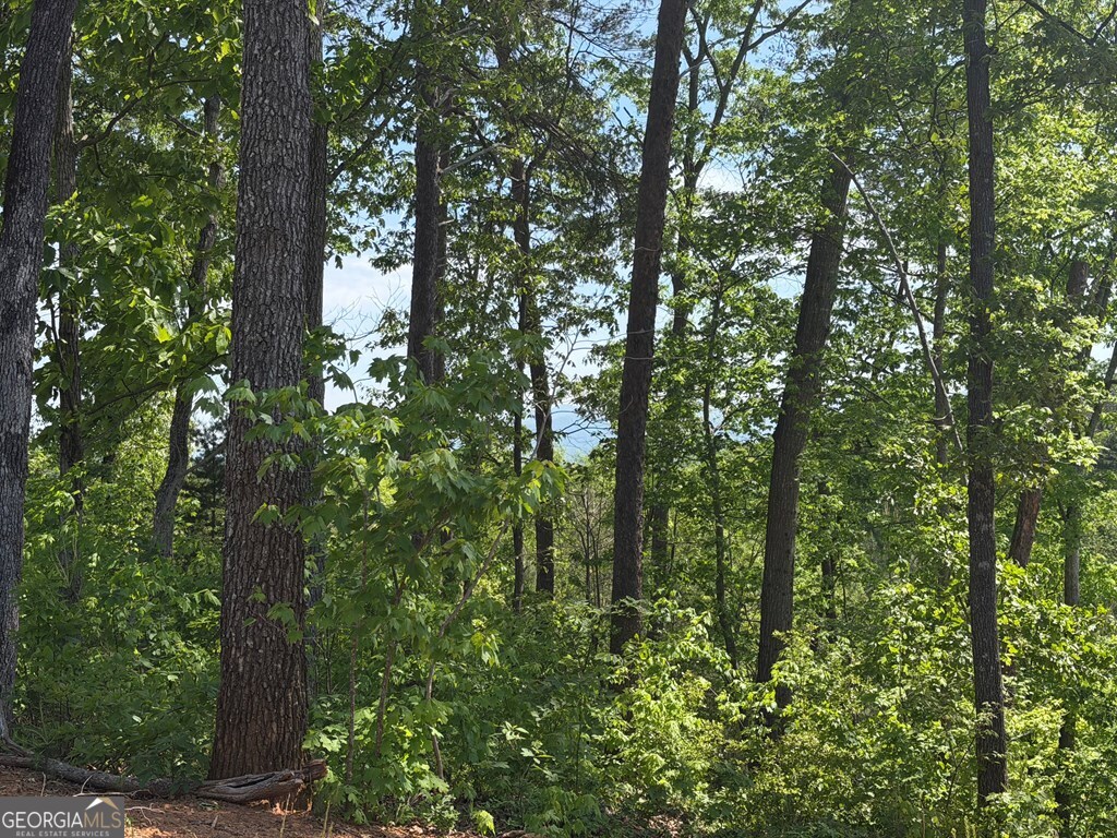 LOT 31 Summit View Lane