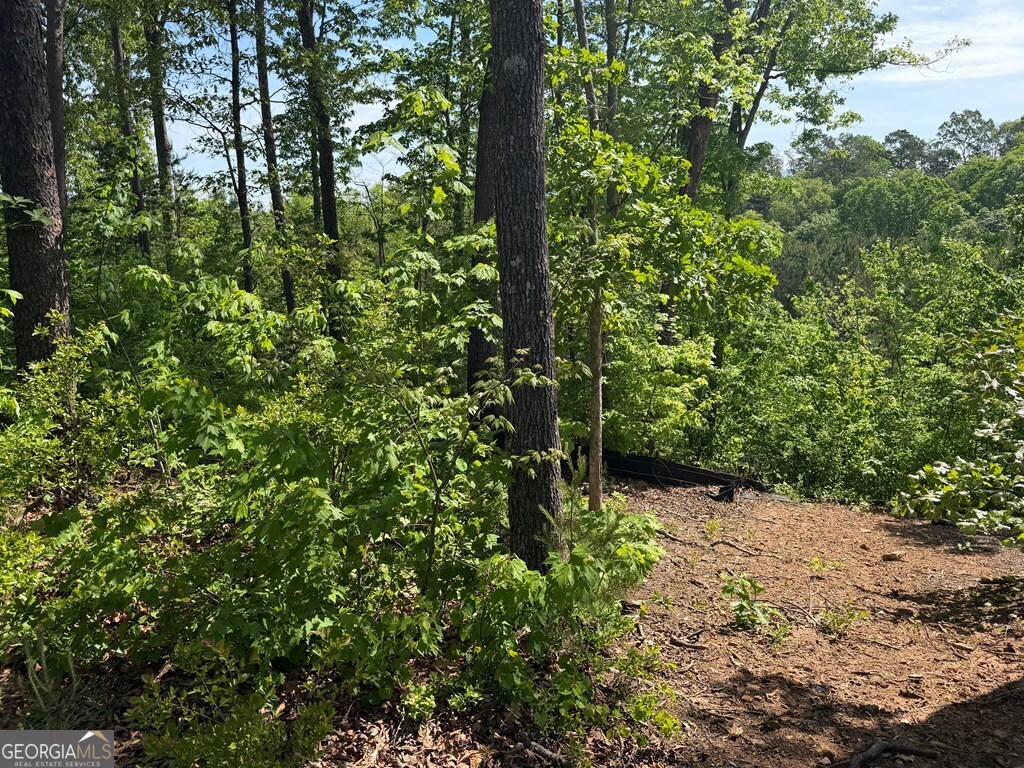 LOT 31 Summit View Lane