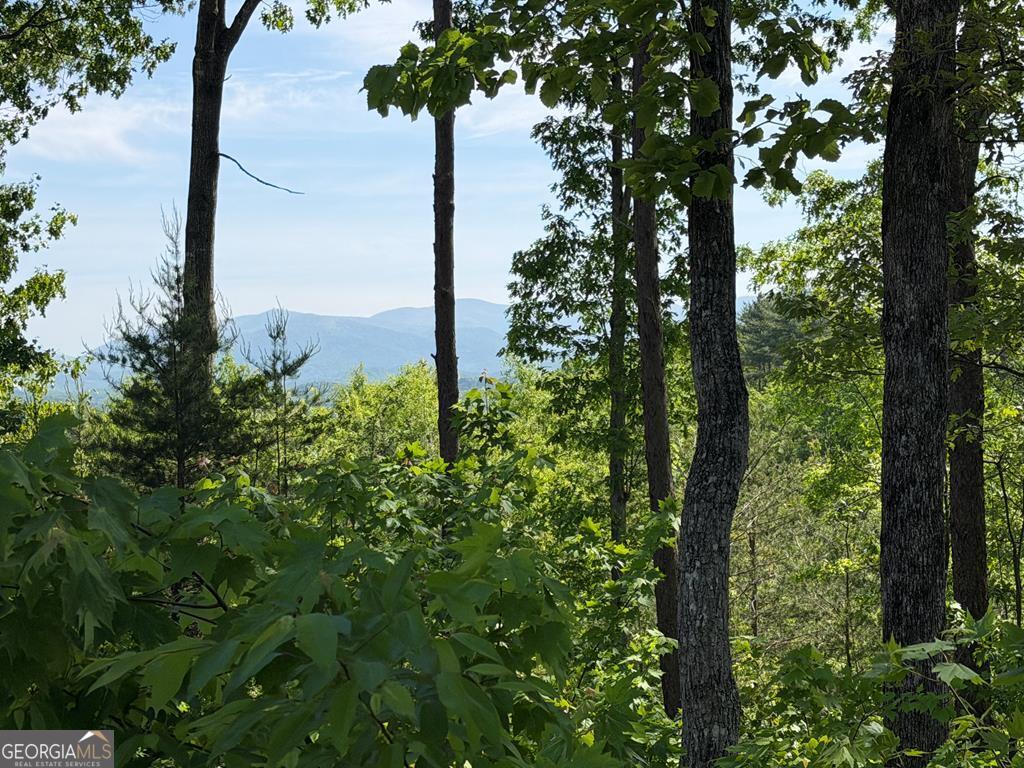 LOT 31 Summit View Lane