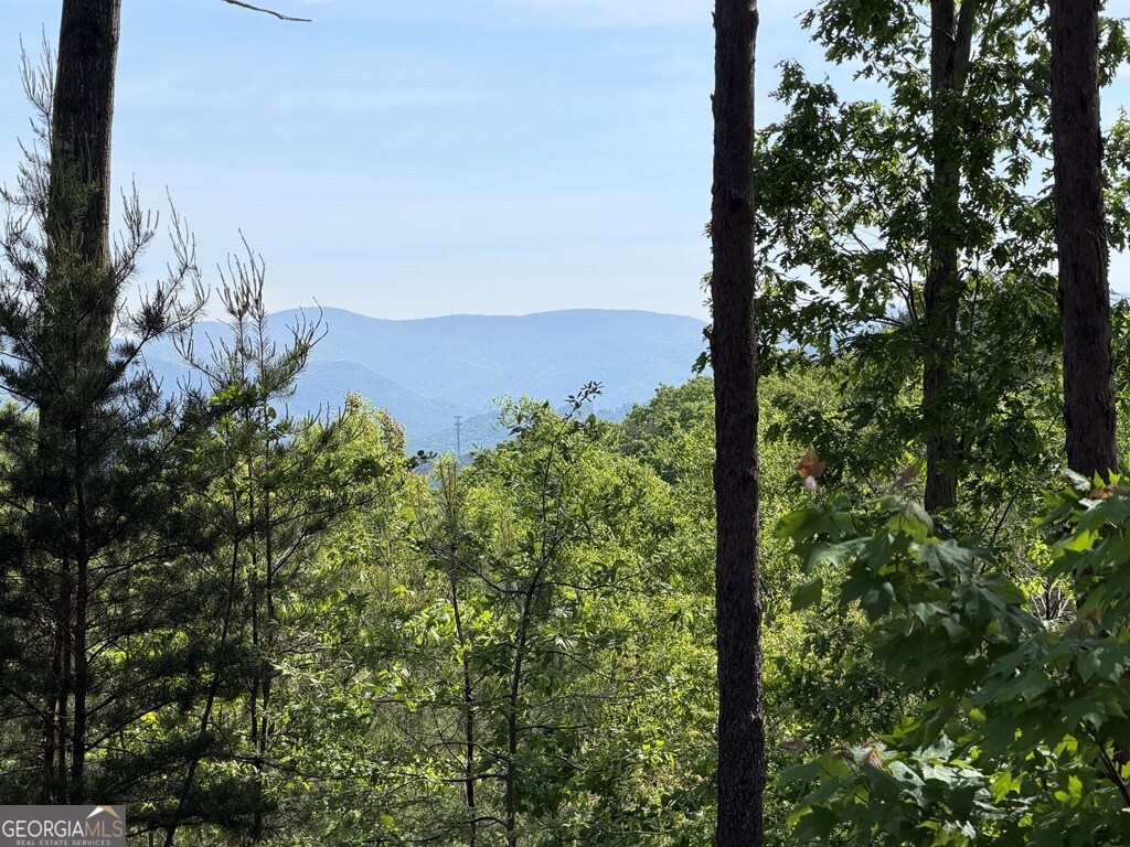 LOT 31 Summit View Lane