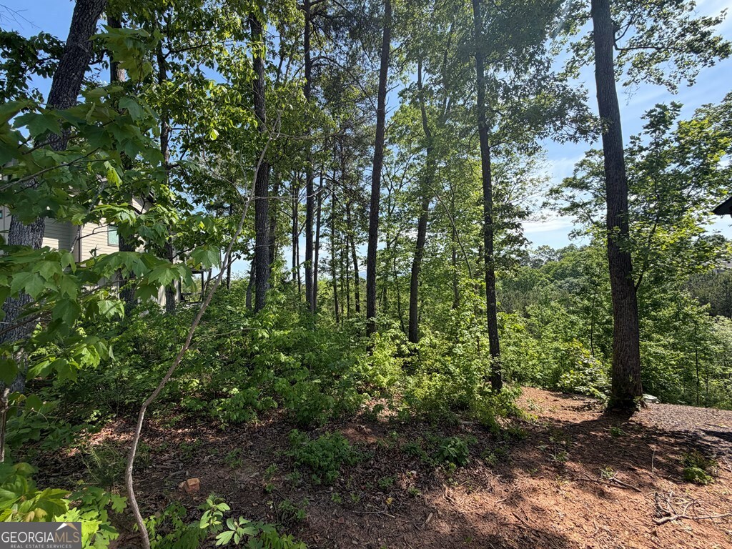 LOT 31 Summit View Lane