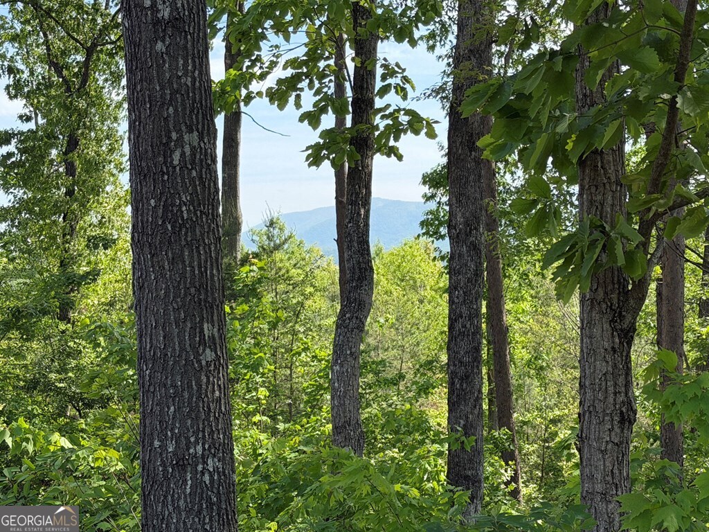LOT 31 Summit View Lane