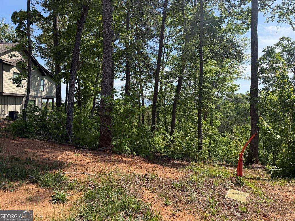 LOT 31 Summit View Lane