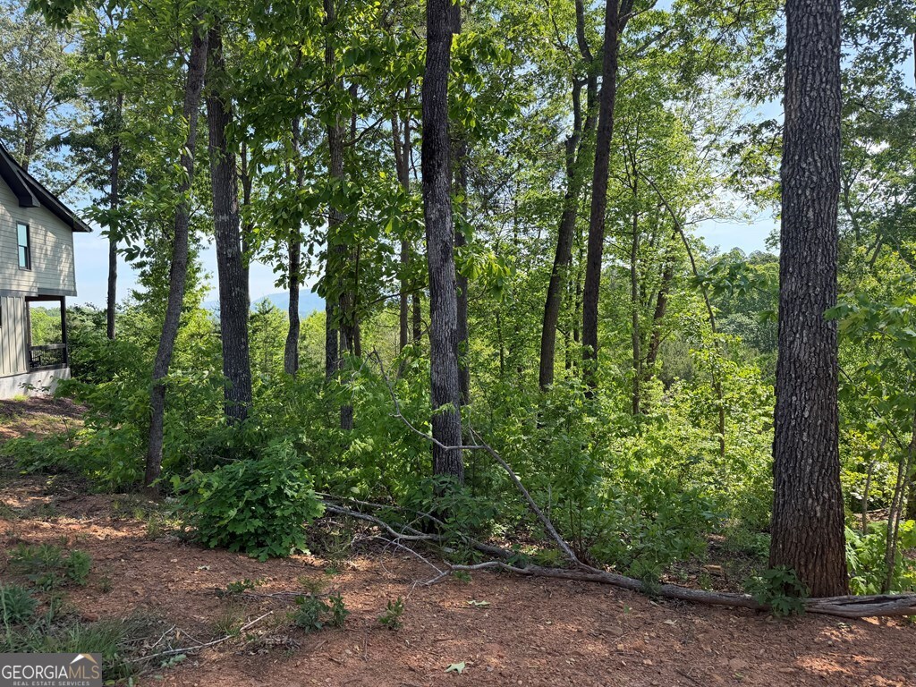 LOT 31 Summit View Lane
